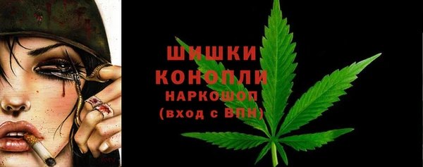 spice Медногорск