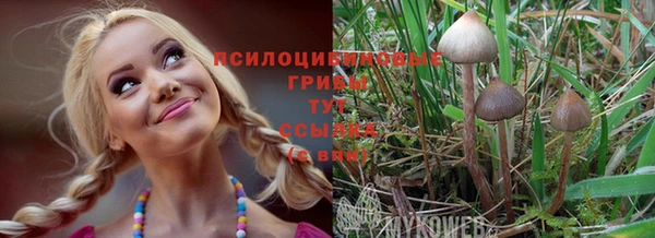 spice Медногорск