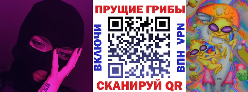 Псилоцибиновые грибы мухоморы  хочу наркоту  Николаевск 