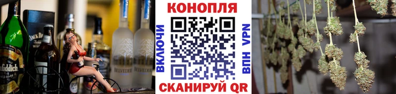 Шишки марихуана сатива  закладки  Николаевск 